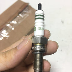 Spark Plugs & Ignition System