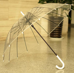 Big Long Handle 16 Rib Transparent Umbrella