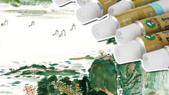 Chinese painting painting paint set art