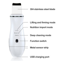 Ultrasonic ion cleaner