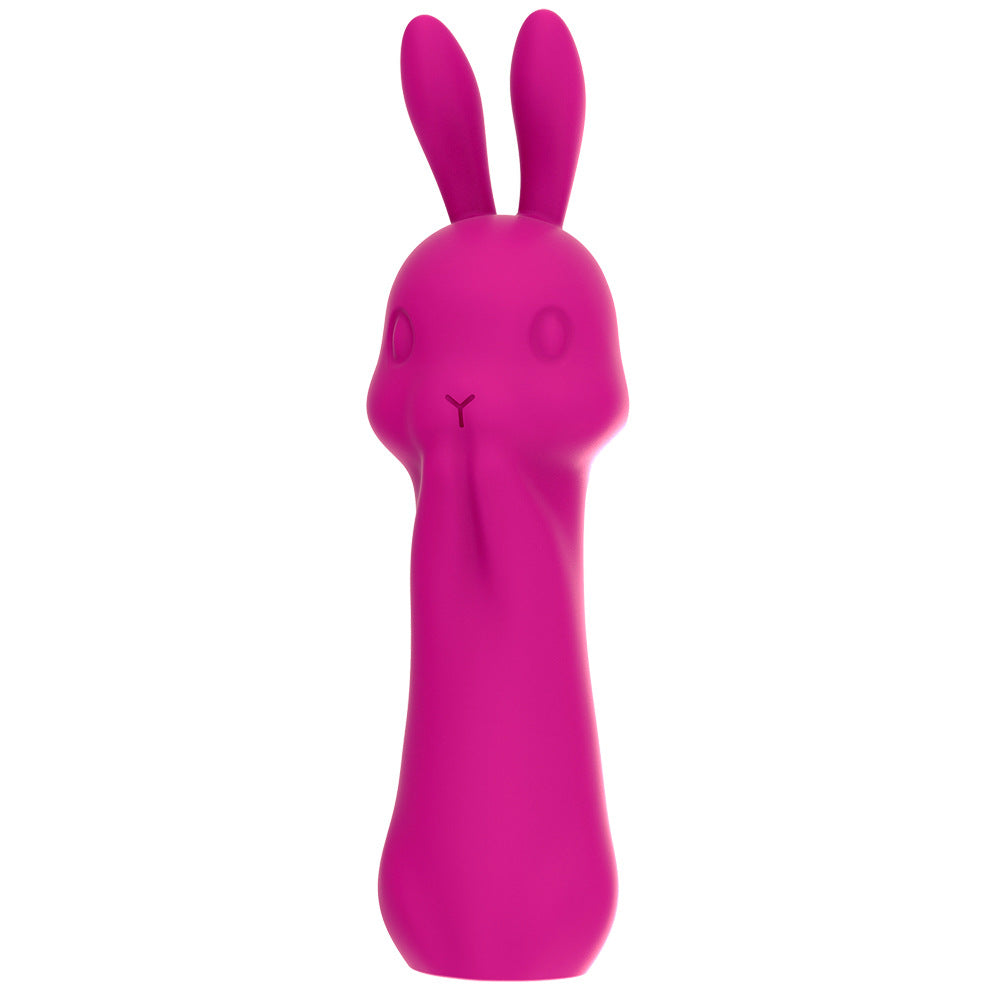 Rabbit Vibrator Massage Women's Masturbation Device