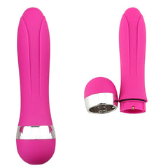 Vibrator Combination Mini AV Portable Massage Stick