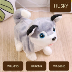 Children Grow Up Interesting And Lovely New Pet Dog Toys