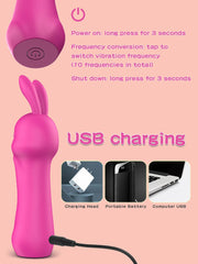 Rabbit Vibrator Massage Women's Masturbation Device