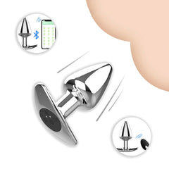 Metal Butt Plug Vibrators