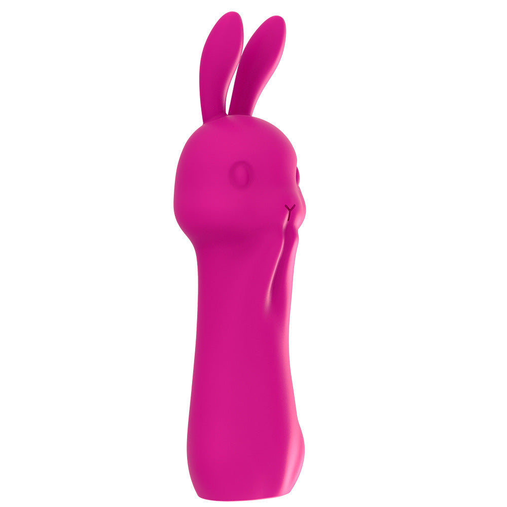 Rabbit Vibrator Massage Women's Masturbation Device