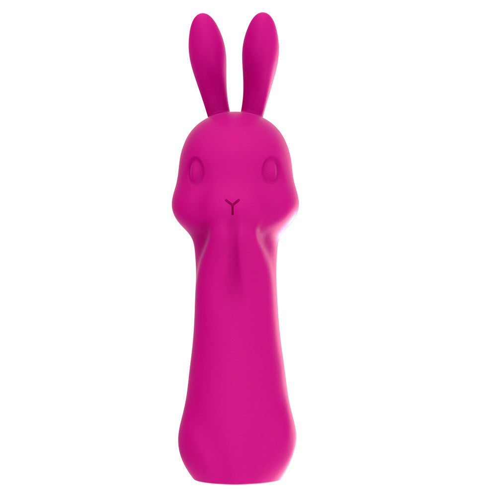 Rabbit Vibrator Massage Women's Masturbation Device